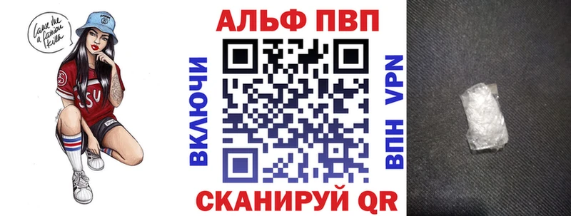 A PVP СК  Курчалой 