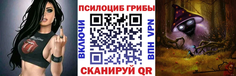 где продают   Курчалой  Галлюциногенные грибы Psilocybe 
